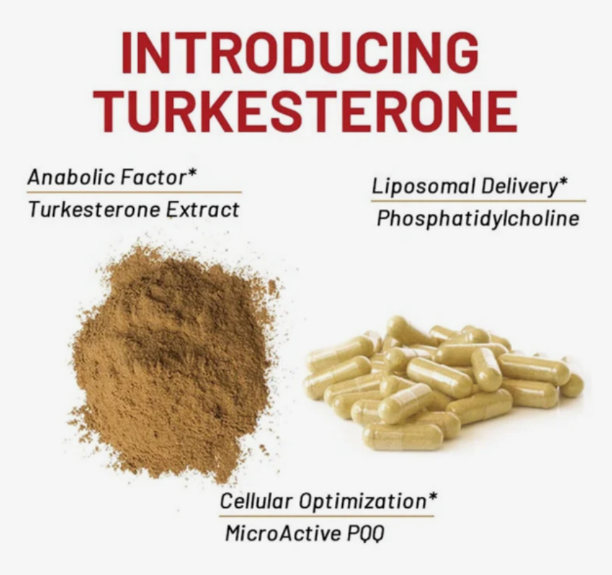 Turkesterone 500mg Complex/Ajuga Turkestanica 10% Standardized 60 CAPSULES